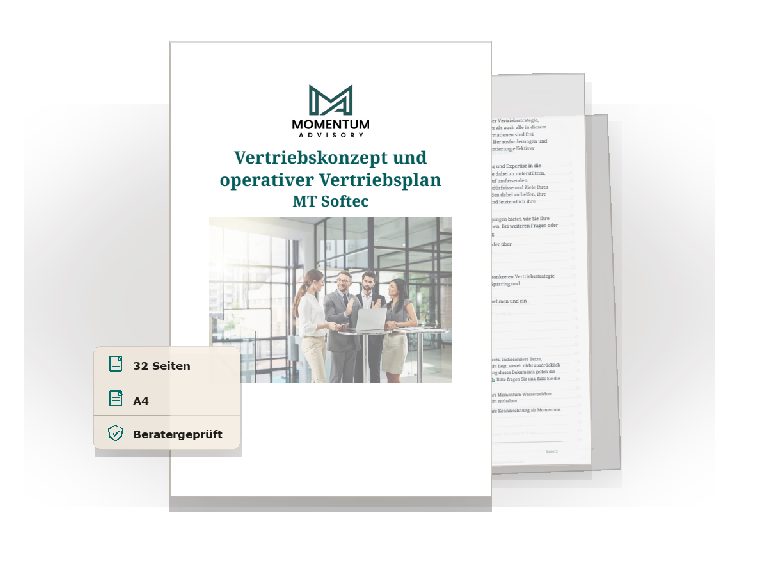 Vorschau des Download-Assets Vertriebskonzept Beispiel