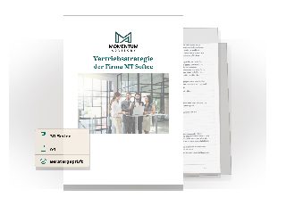 Vorschau des Download-Assets Vertriebsstrategie Beispiel
