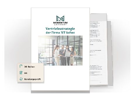 Vorschau des Download-Assets Vertriebsstrategie Beispiel