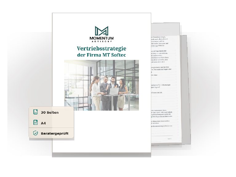 Vorschau des Download-Assets Vertriebsstrategie Beispiel